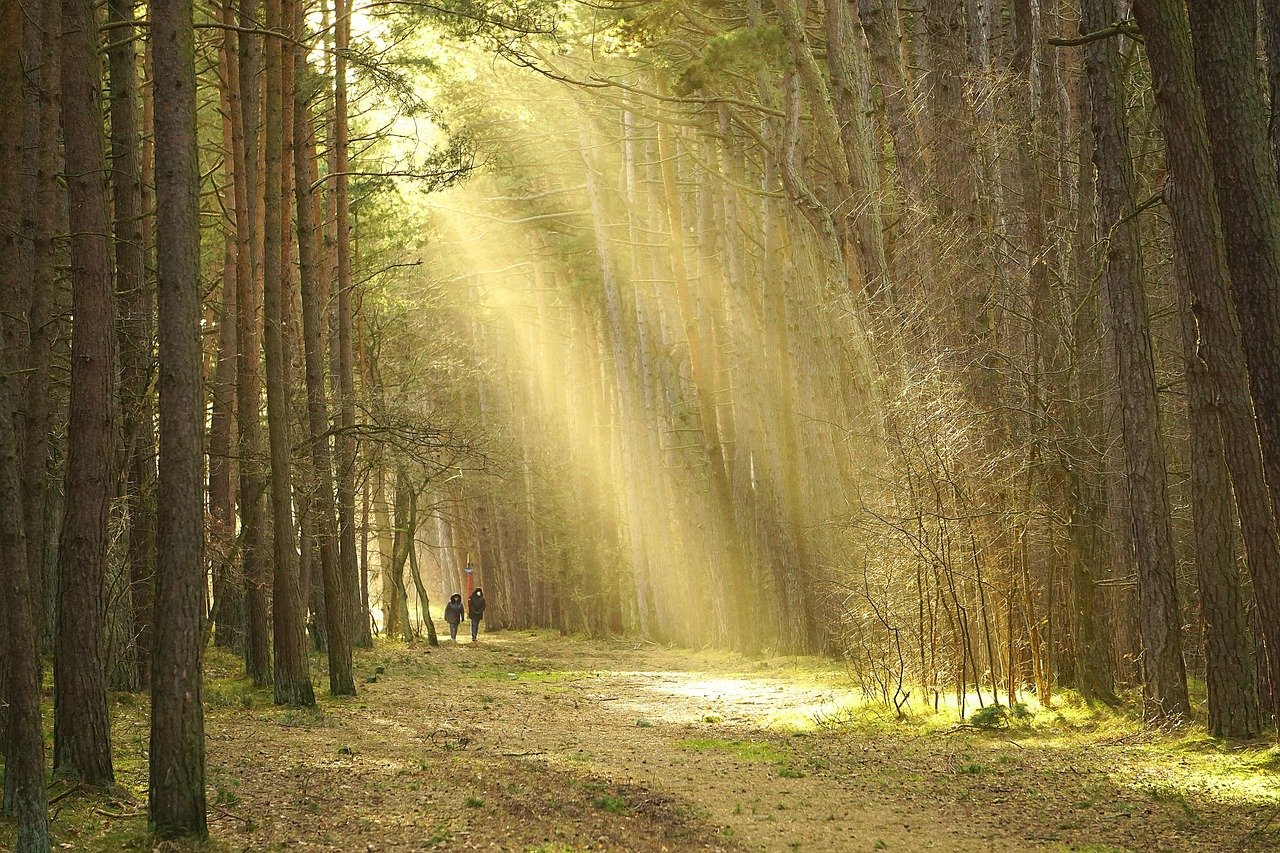 7 Most Scenic Small Towns In Connecticut For Nature Lovers