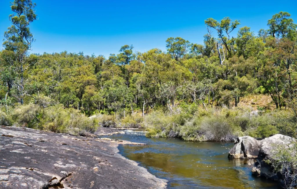 Collie: The Green Heart of Western Australia
