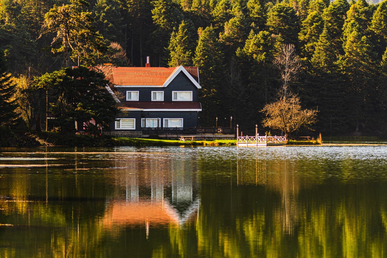 Discover Great Lakes
