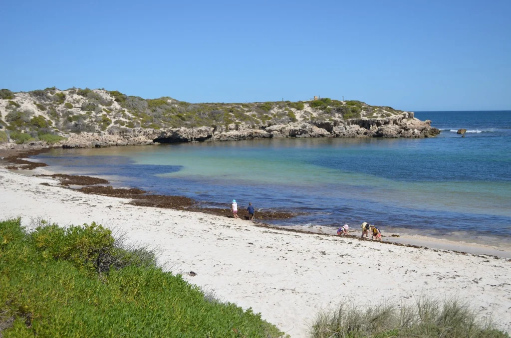 Green Head: Coastal Charm and Aquatic Wonders