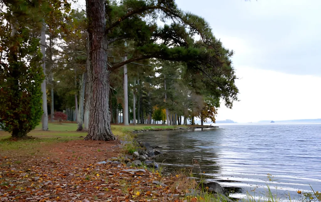 Guntersville Alabama's Lake Living Capital