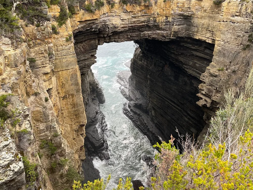 Tasman National Park
