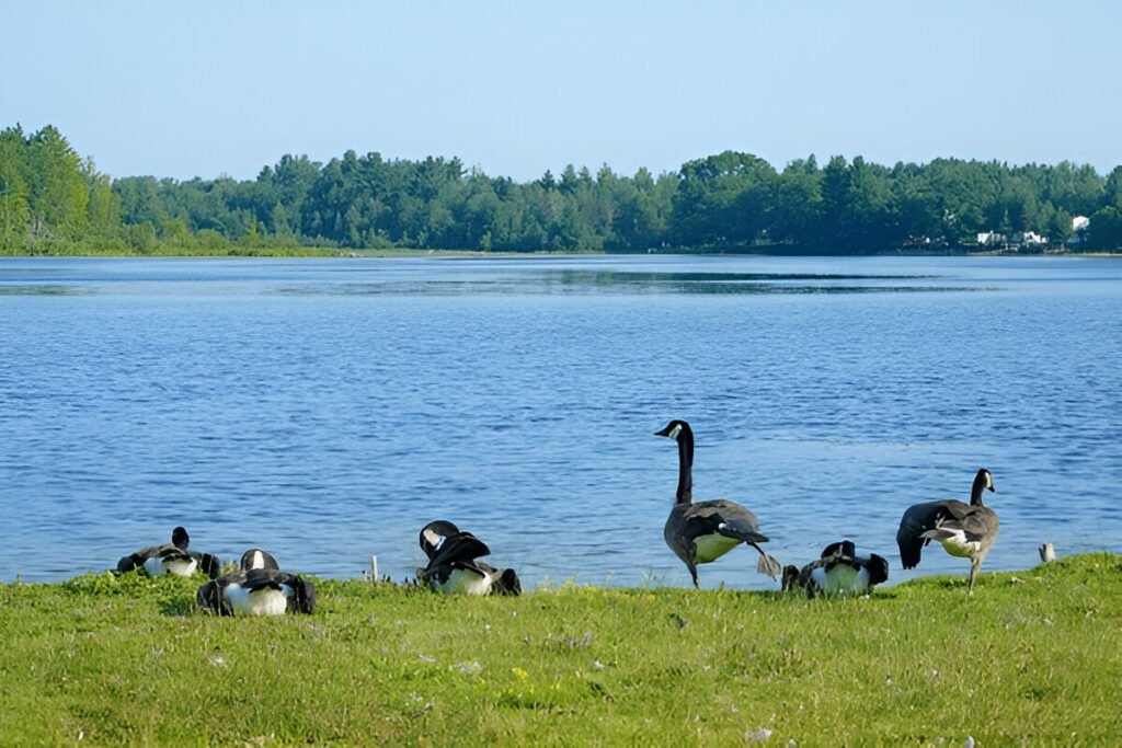 Alpena, Michigan: Sanctuary of the Great Lakes