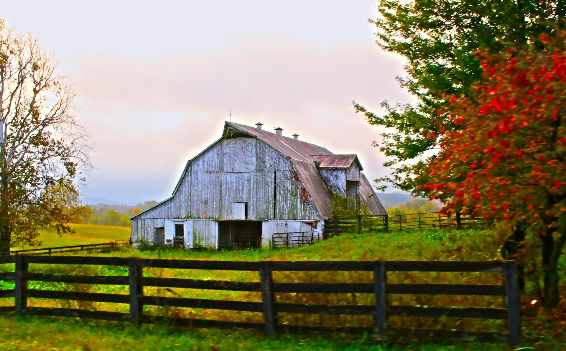 A rustic, weathered white barn sitting on a grassy hill in the Kentucky countryside, with a wooden fence and fall foliage.