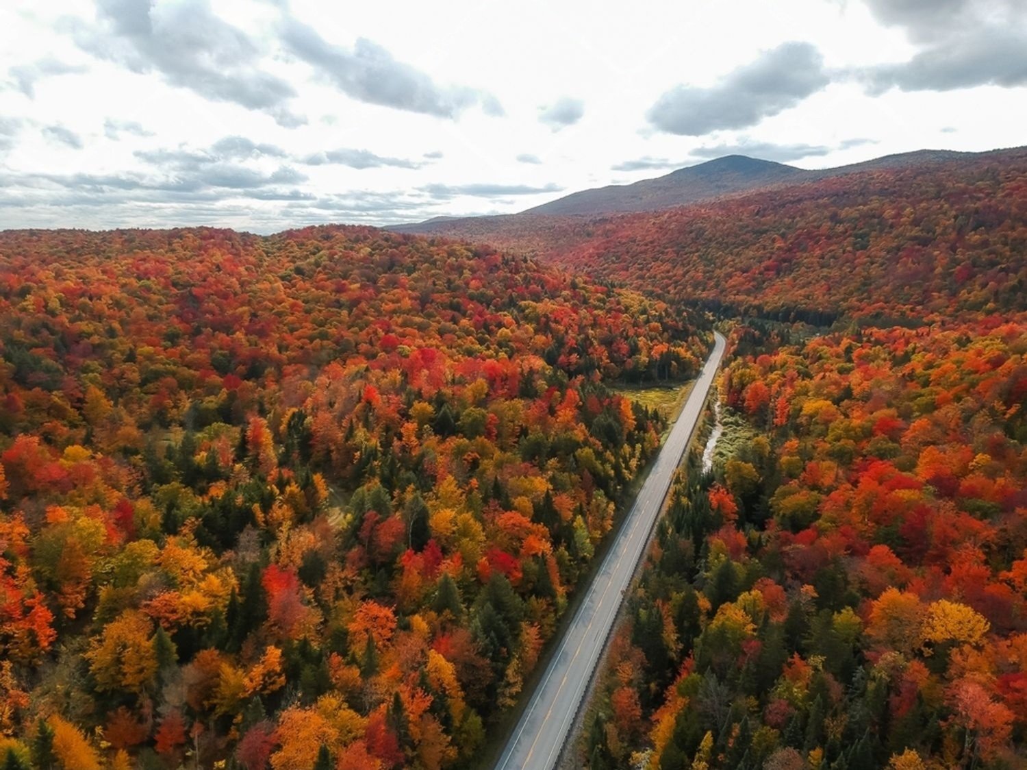 An aerial view of a highway on a Vermont Fall Foliage Tour, cutting through a vast forest of trees with vibrant red, orange, and yellow peak autumn colors.