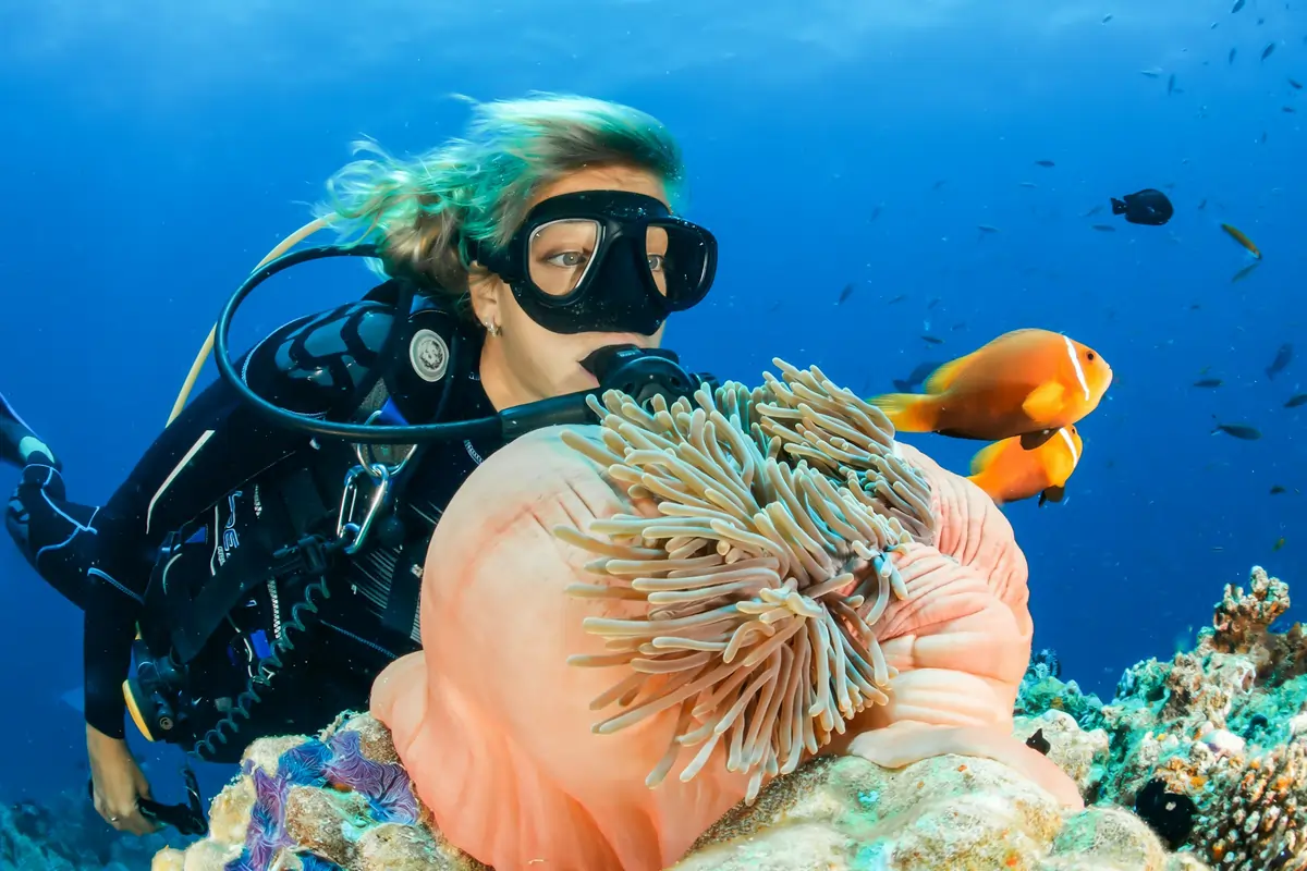 A female scuba diver observing two clownfish in a sea anemone, showcasing the Best Diving In Southeast Asia.