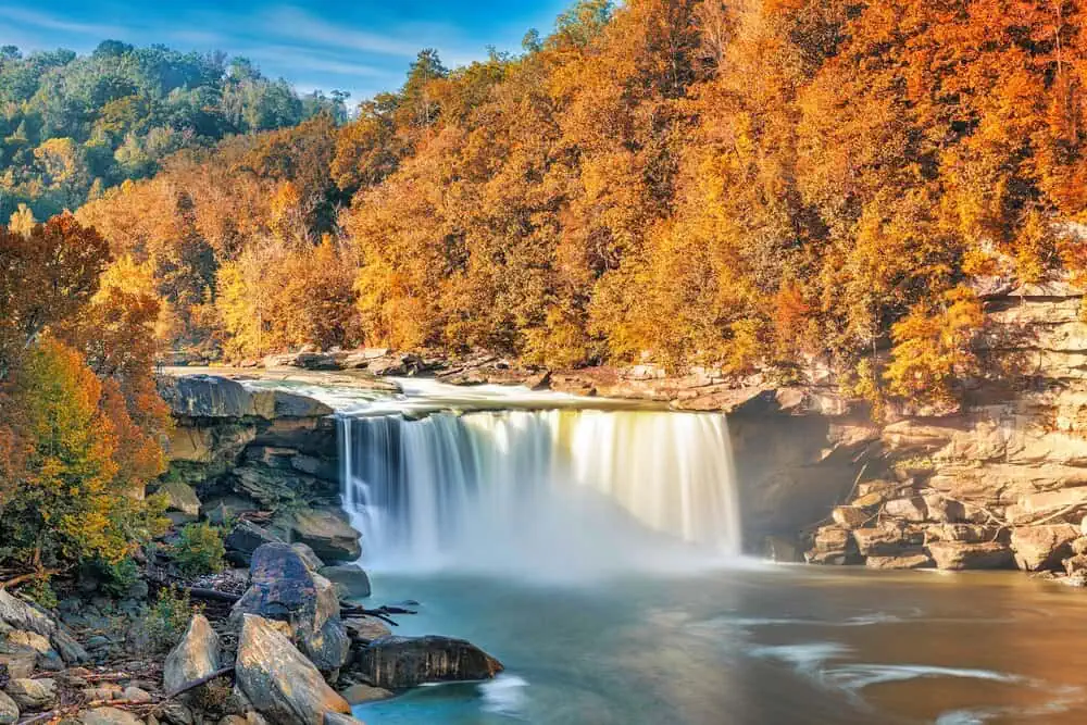 The wide, powerful Cumberland Falls in Kentucky, surrounded by a forest ablaze with vibrant orange and yellow autumn foliage.