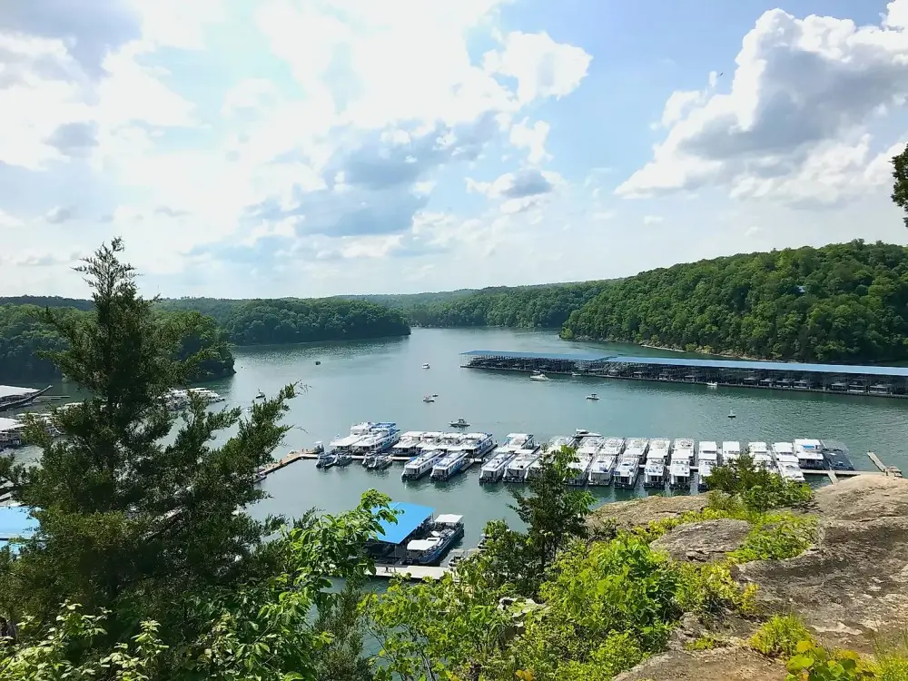 Marina with houseboats on Kentucky Lake surrounded by lush forested hills and clear skies