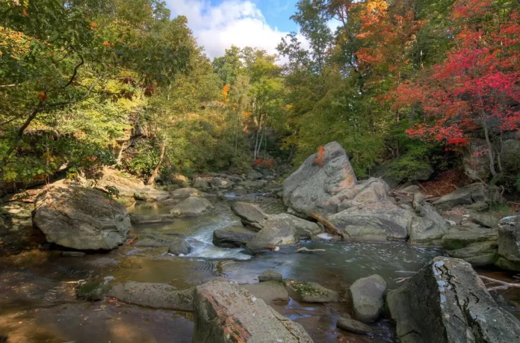 A scenic view of the Rocky River in early autumn, with water flowing over rocks and surrounded by lush trees showing the first signs of fall colors under a blue sky.