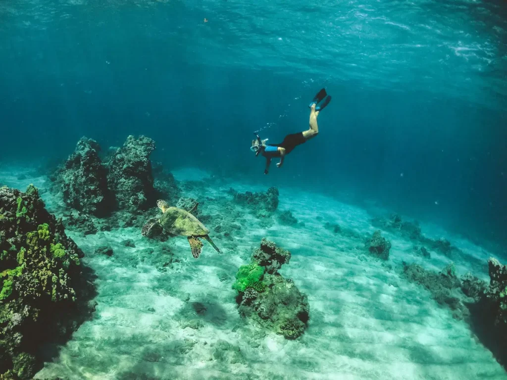 A snorkeler swims beside a large sea turtle, gliding over a sandy seabed and a vibrant coral reef in the Gili Islands.