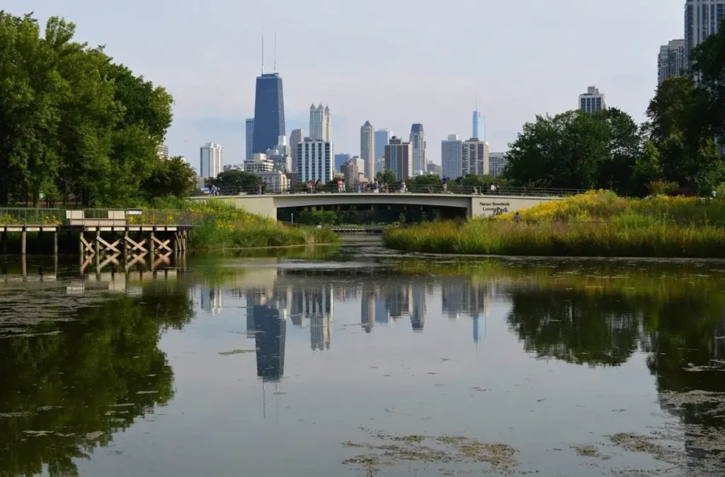 The Chicago skyline reflected in the South Pond from the Nature Boardwalk in Lincoln Park, one of the Safest Neighborhoods in Chicago.