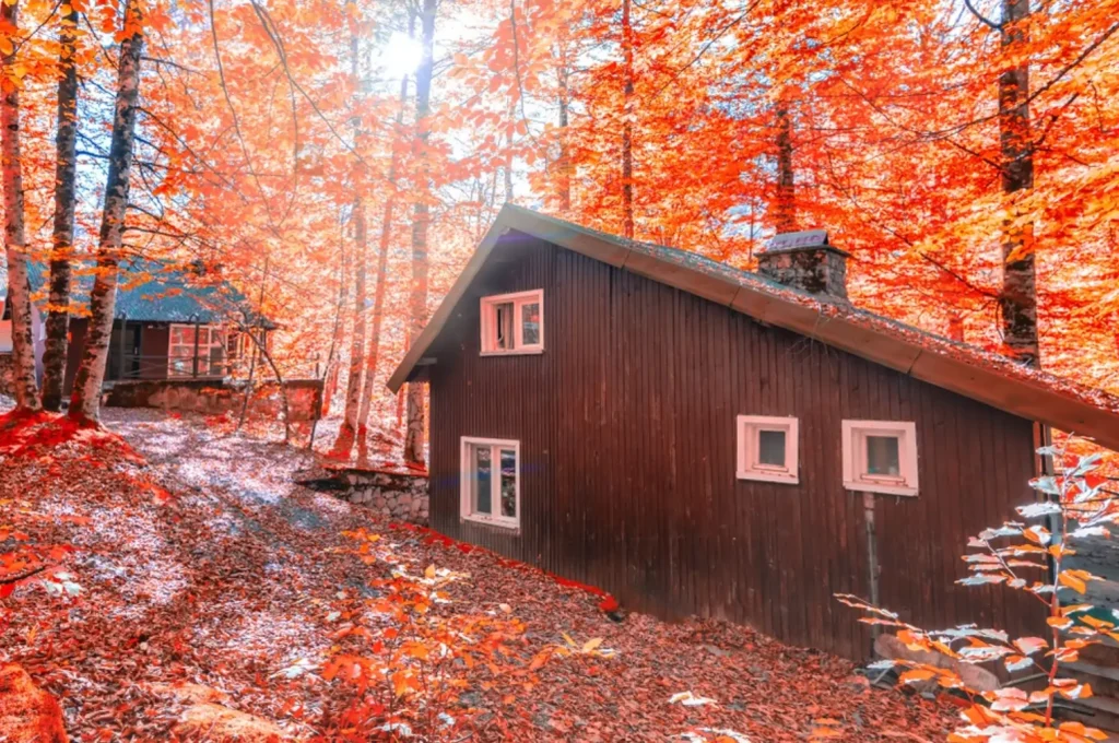 A rustic elevated cabin surrounded by vibrant fall foliage, perfect for a romantic New England getaway