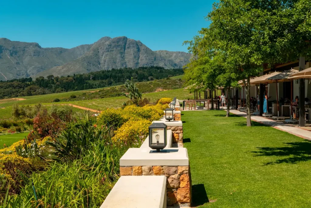 A scenic view of a winery near Stellenbosch, one of the most beautiful cities in South Africa, with vineyards and mountains in the background.